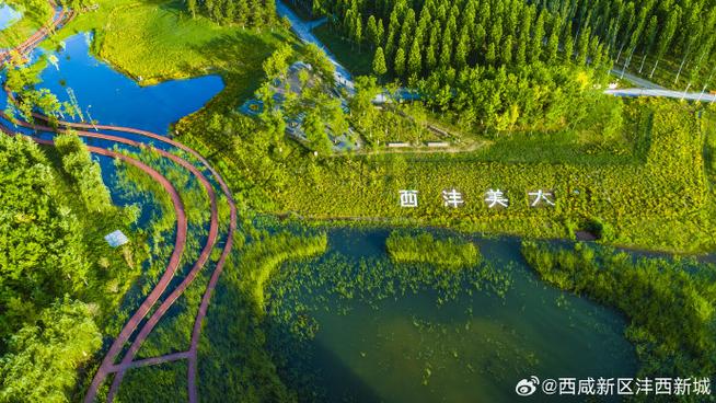 环翠区,打造绿色宜居城市,谱写高质量发展新篇章