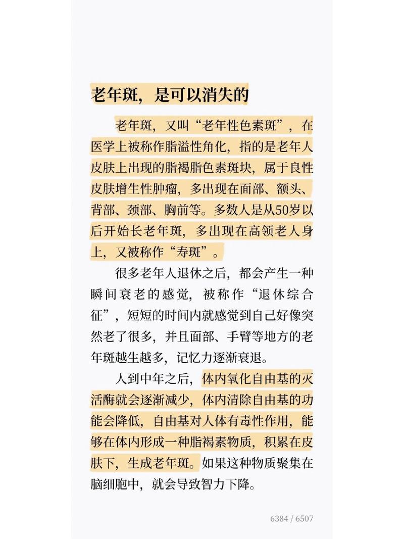 老年版网站设计,关爱银发族,打造便捷信息时代新体验