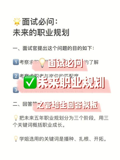 面试官网站设计,打造高效招聘平台的奥秘