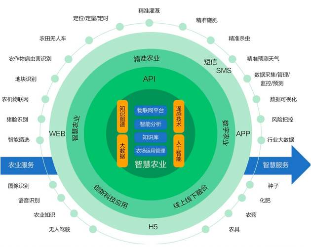 麦数据网站,数据驱动决策,助力企业洞察未来