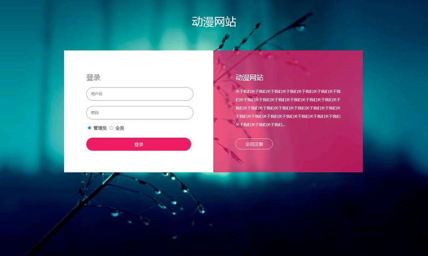 JSP动画技术,打造沉浸式网页体验的利器