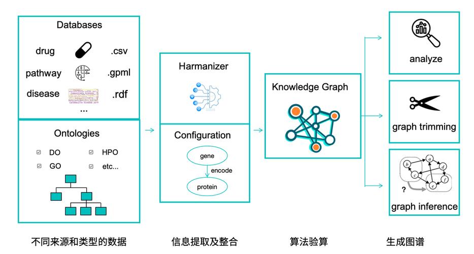 RainSEO,引领搜索引擎优化领域的革新之路