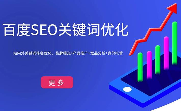 SEO平台外包,专业助力企业高效优化网站,提升在线竞争力