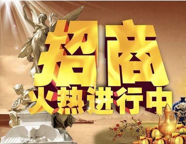 丰泽SEO招商,助力企业互联网营销新篇章