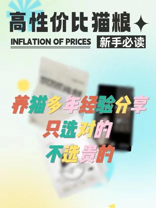 介绍贵阳SEO优化收费,性价比之选,助力企业腾飞