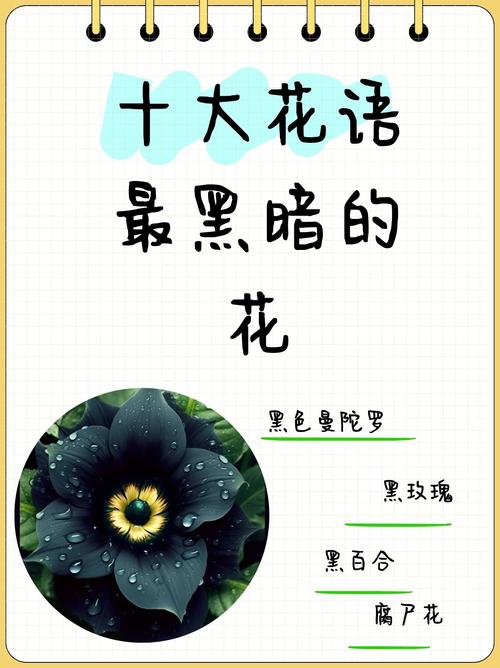 介绍黑帽SEO,全称背后的黑暗秘密与应对步骤