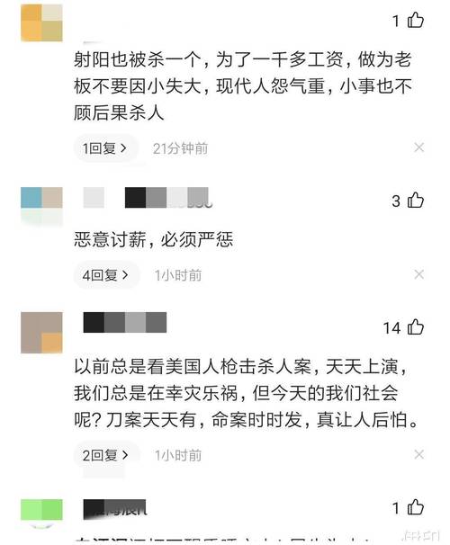 悲剧重演,开鲁枪杀案背后的深思与反思