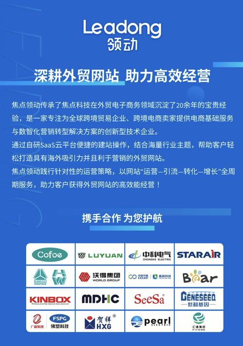 杭州羽毛SEO,深耕本地市场,助力企业网络营销新突破