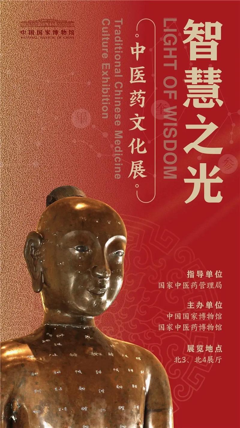52书库,构建数字阅读新生态,传承文化智慧之光