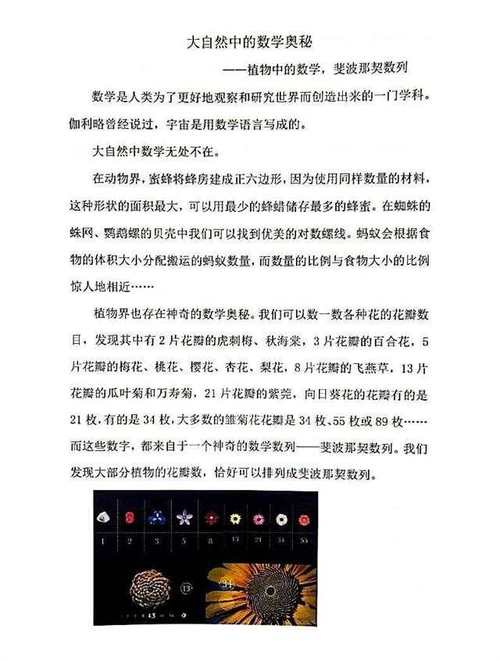 88矩阵心形代码,数字之美与编程之魂的完美融合