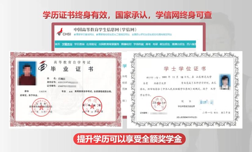 专科学历代码探秘,介绍学历背后的数字密码