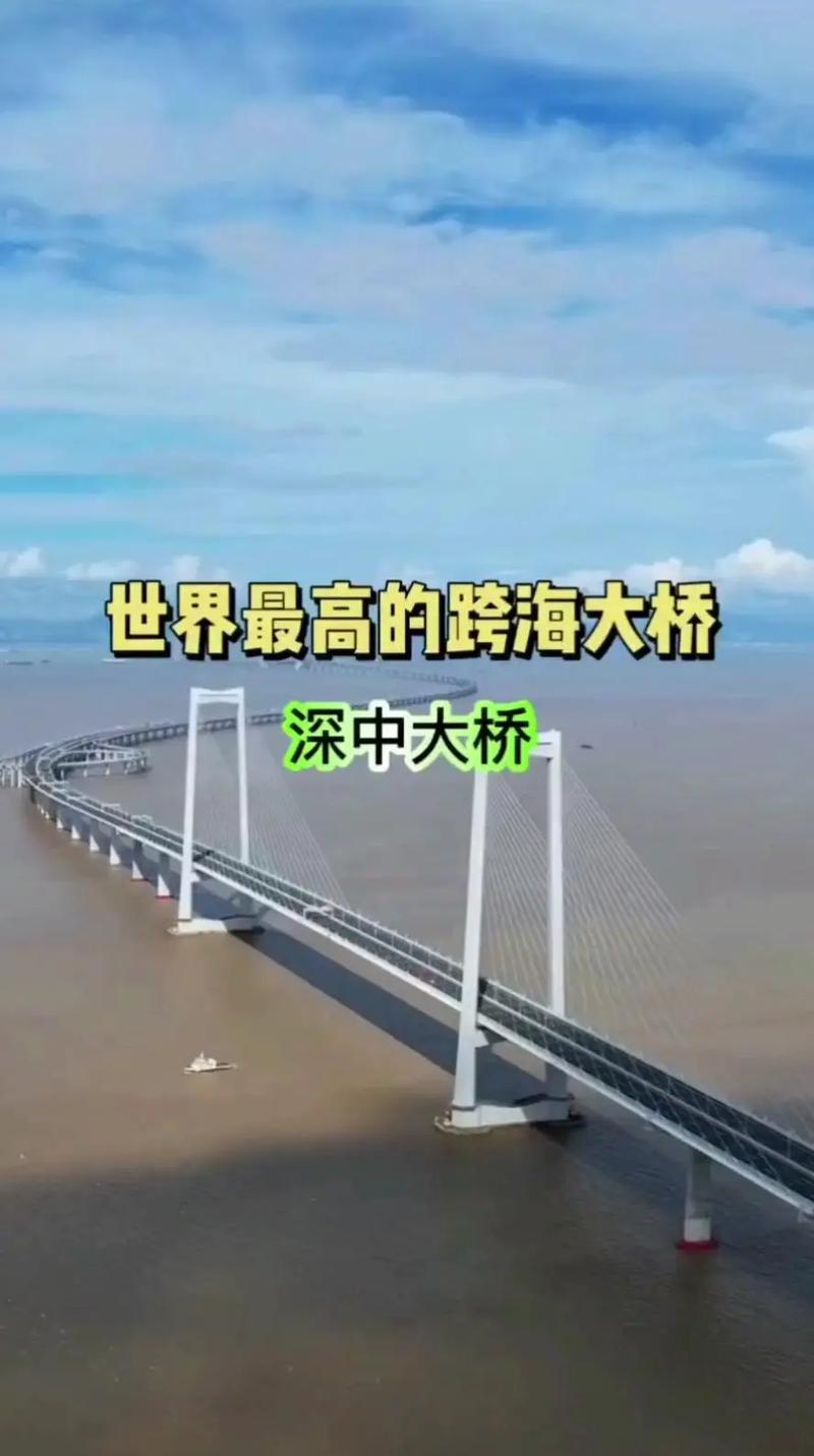 介绍科学数据网站,探索知识海洋的桥梁