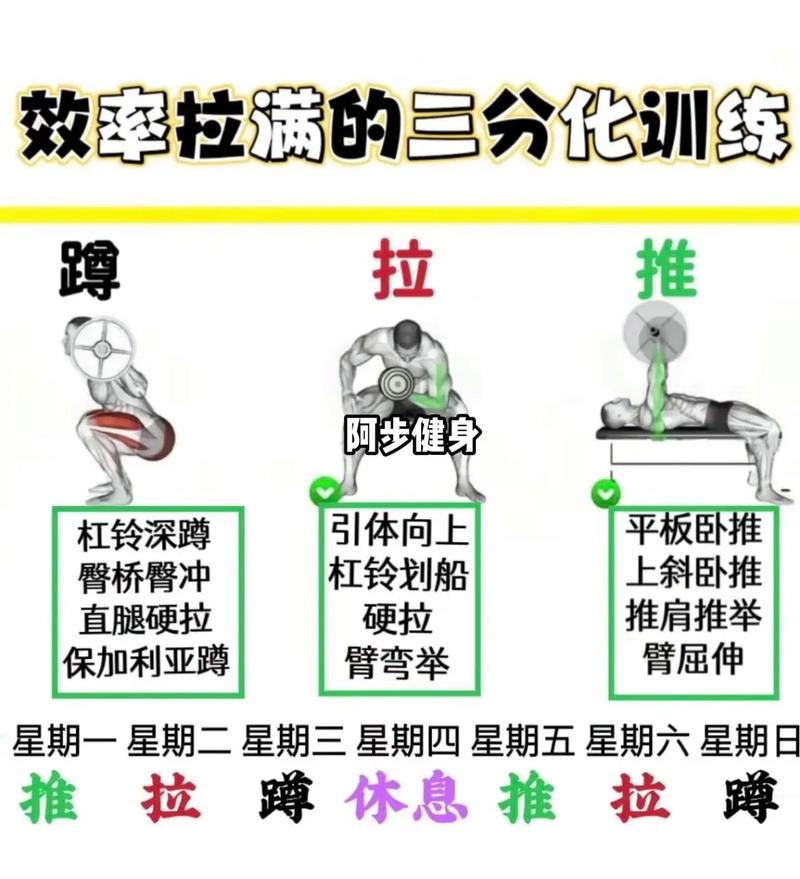 健身网站分析,介绍高效健身的方法 SEO优化 健身网站分析,介绍高效健身的方法 健身网站分析,介绍高效健身的方法 SEO优化