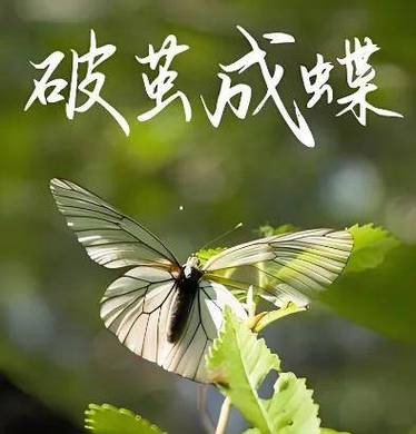 南网招聘,共创绿色未来,成就非凡人生