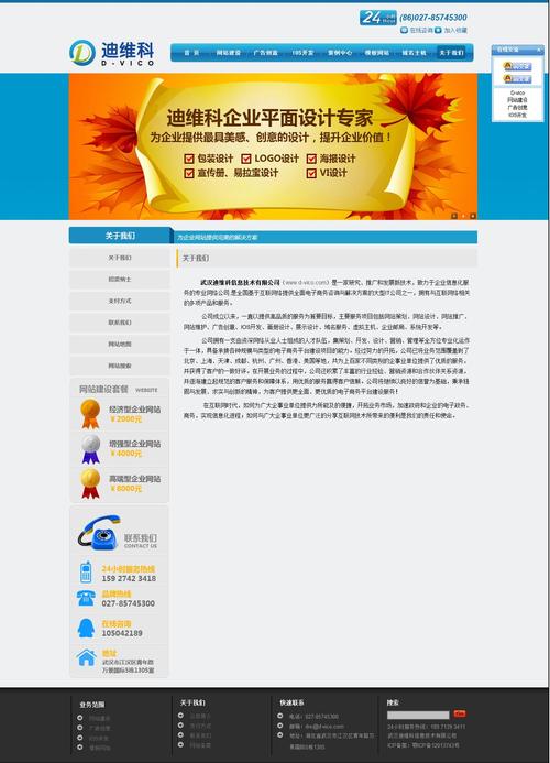 备案网站设计,打造专业形象,助力企业网络营销