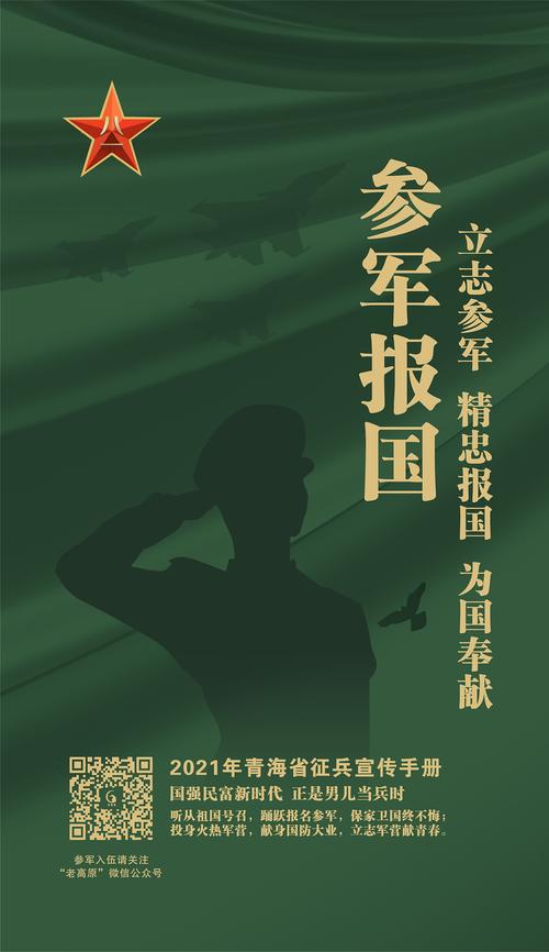 征兵网站设计,感衣,铸就军旅梦想的桥梁