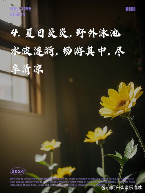 户外网站推荐,探索自然之美,畅享户外生活