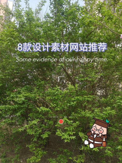 打造高效录播网站,设计素材的巧妙运用与优化步骤