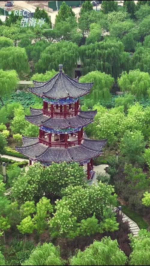 探秘乐陵,感受千年古韵与现代魅力的交融之旅