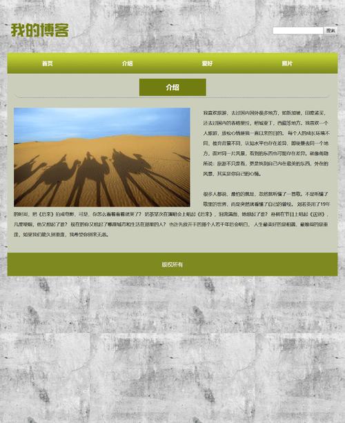 探索搜文档网站设计的奥秘,关键词布局的艺术