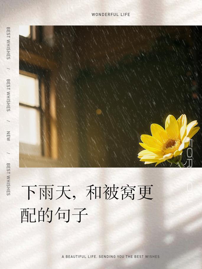 温馨梦境,介绍被窝网站的设计艺术与用户情感共鸣