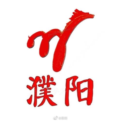濮阳网站设计图标,创意无限,彰显地域特色与文化内涵