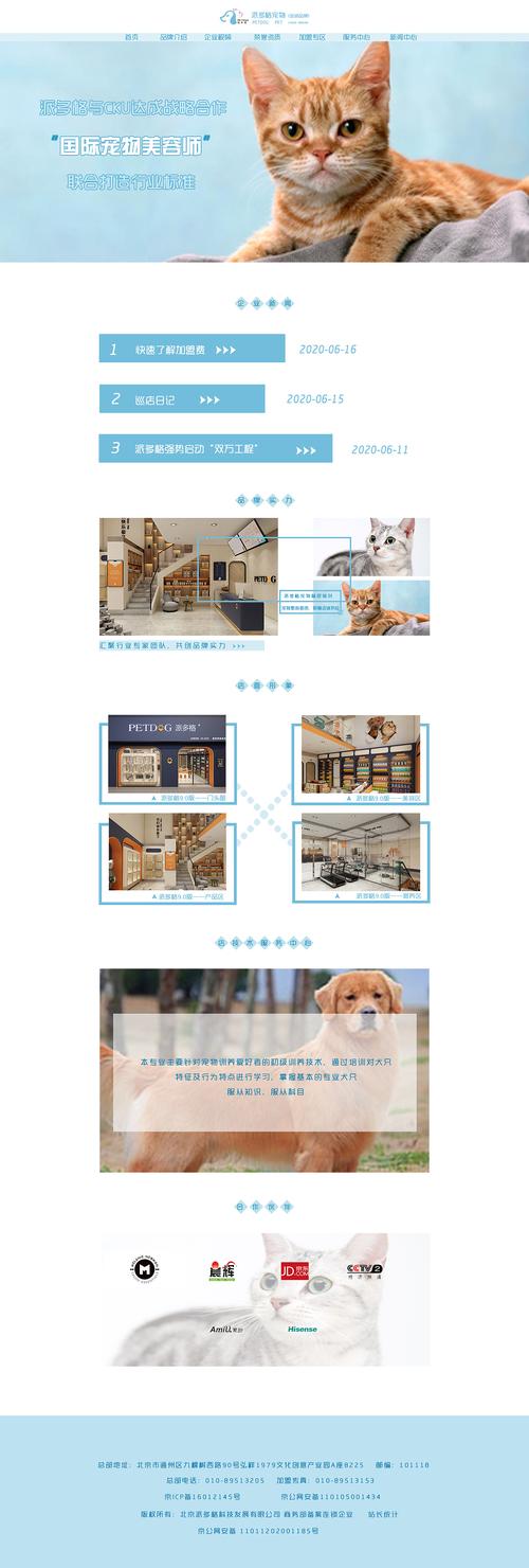 狗带网站设计教程,打造个性鲜明的在线品牌形象