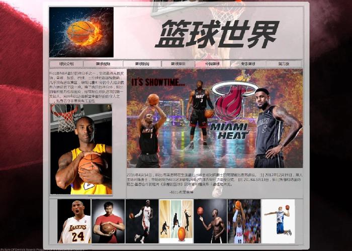 篮球网站设计软件,打造篮球爱好者的云端乐园