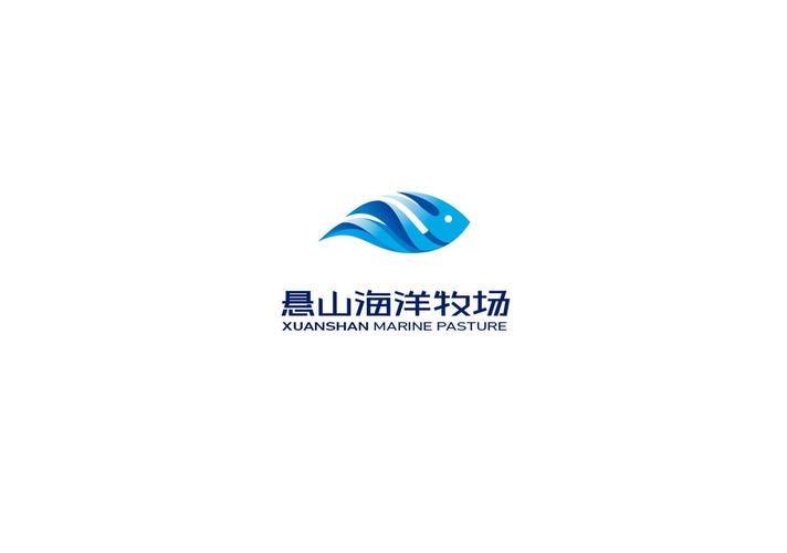 舟山网站设计,融合海洋特色,打造独一无二的品牌形象