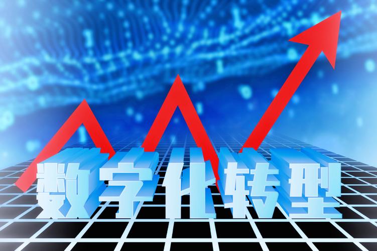 蛇口软件网站,引领企业数字化转型的创新平台